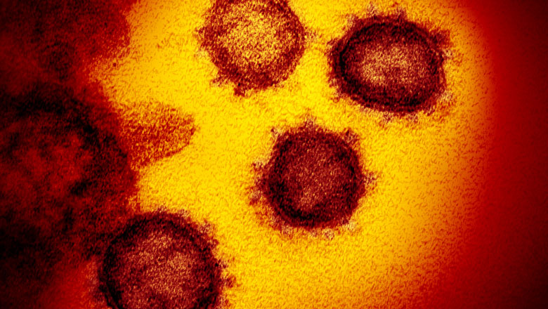 coronavirus symptom tracking app